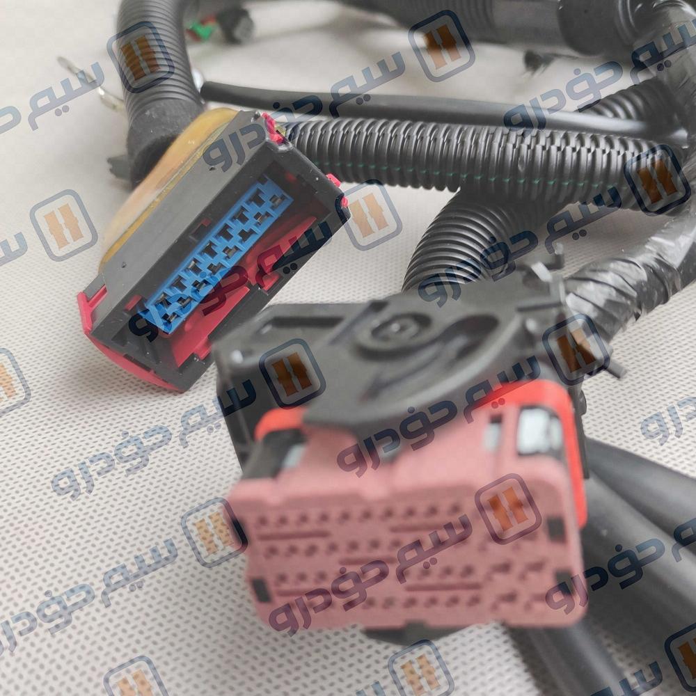 IMG_20241228_075045